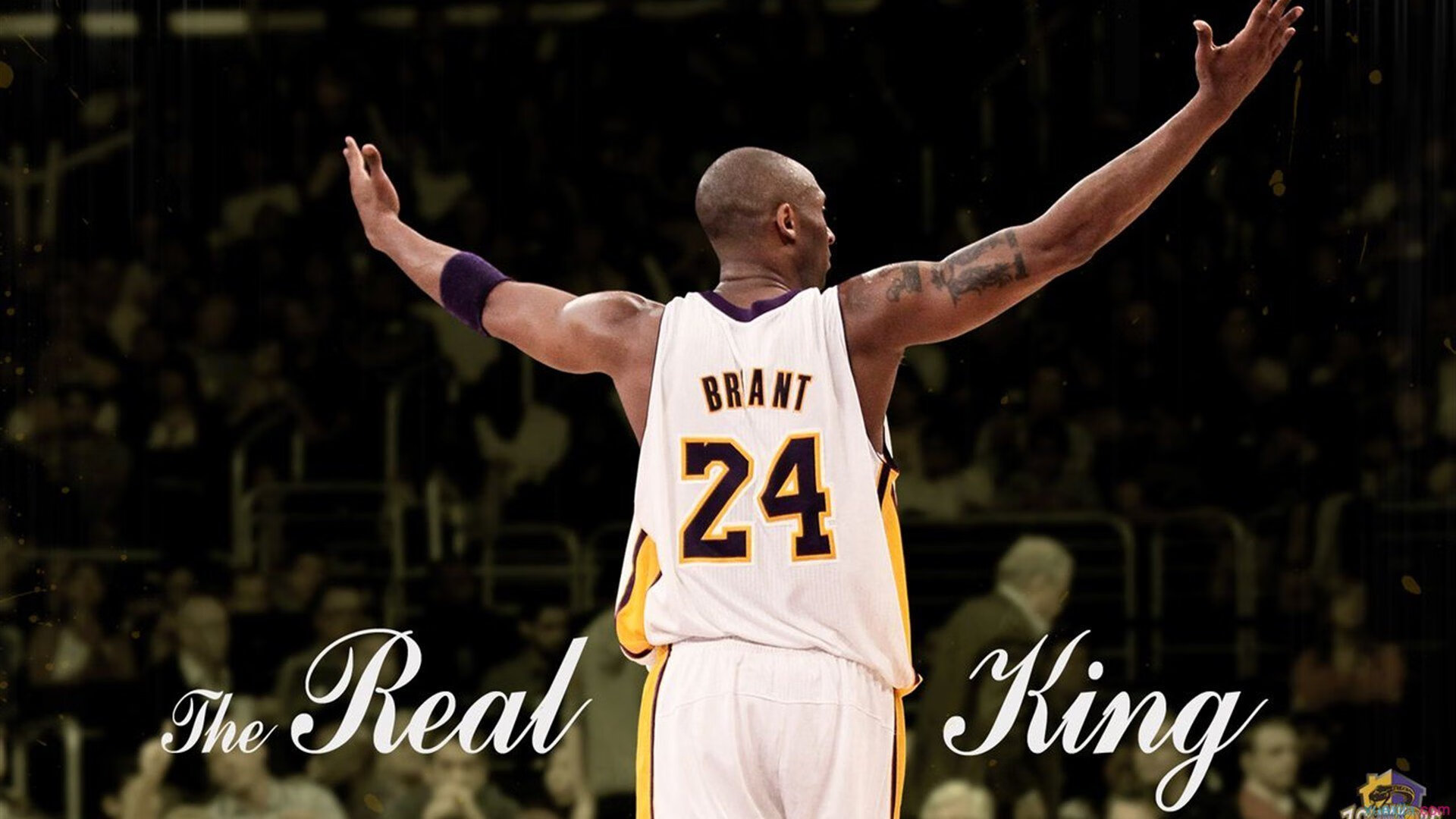 英超：布莱顿1-1战平狼队，比赛悬念逐渐升高，布莱顿对狼队分析